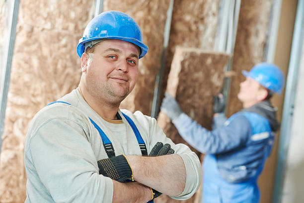 Best Eco-Friendly or Green Insulation Solutions  in Woodsi East, DE